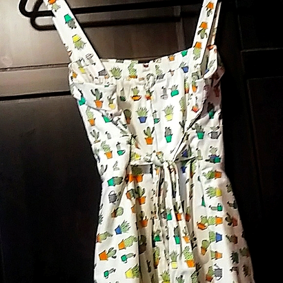 Dress cactus - Picture 6 of 12